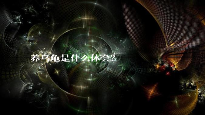 养乌龟是什么体会？