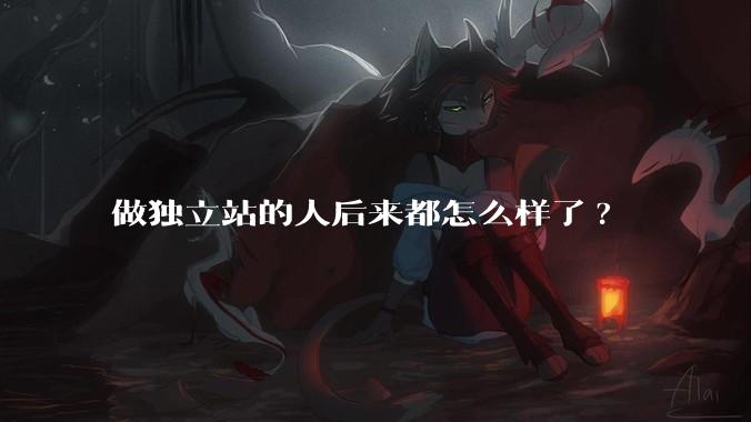 做独立站的人后来都怎么样了?