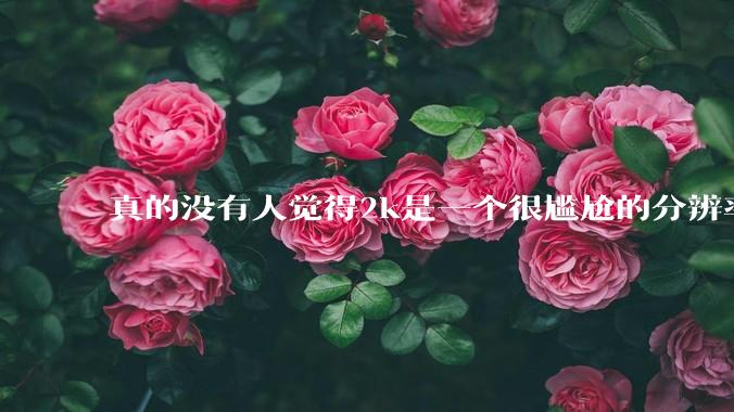 真的没有人觉得2k是一个很尴尬的分辨率吗？