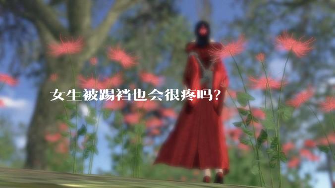 女生被踢裆也会很疼吗？