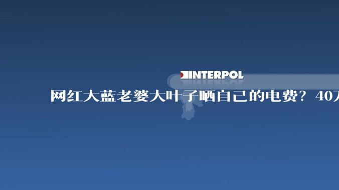 网红大蓝老婆大叶子晒自己的电费？40万每年，到底是什么概念？