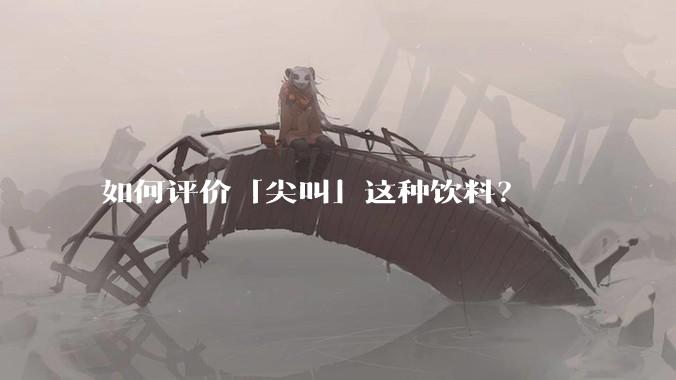 如何评价「尖叫」这种饮料？