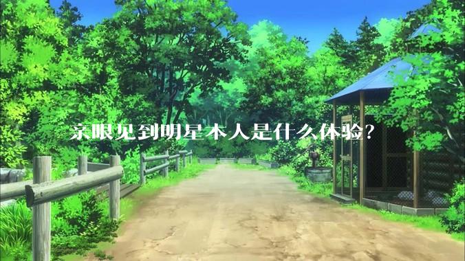 亲眼见到明星本人是什么体验？