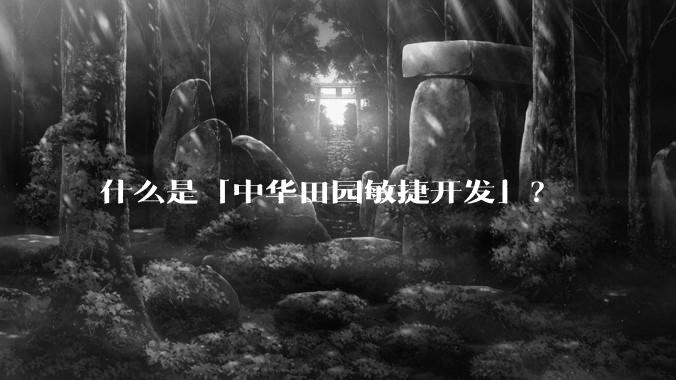 什么是「中华田园敏捷开发」？