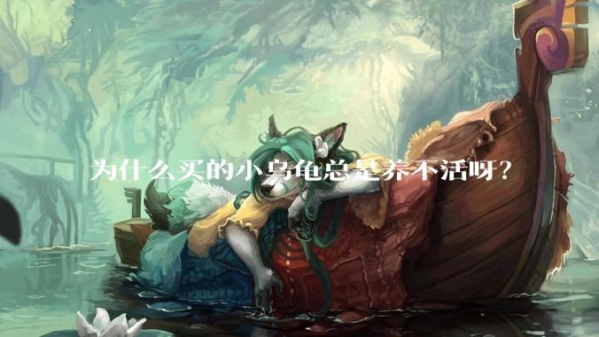 为什么买的小乌龟总是养不活呀？