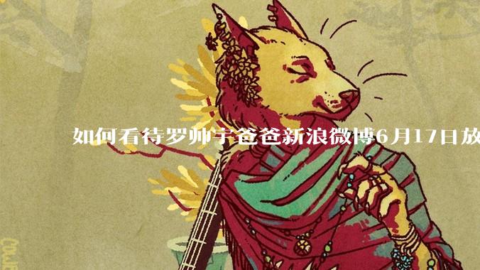 如何看待罗帅宇爸爸新浪微博6月17日放出的材料？