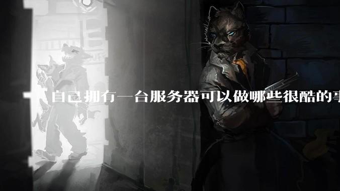 自己拥有一台服务器可以做哪些很酷的事情？