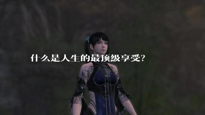 什么是人生的最顶级享受？