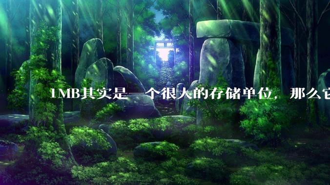 1MB其实是一个很大的存储单位，那么它的存储容量究竟有多大？