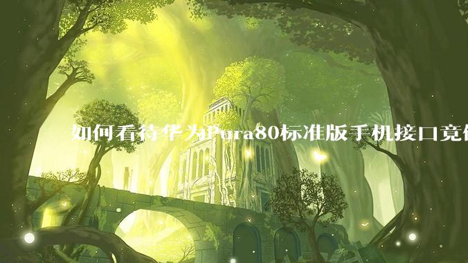 如何看待华为Pura80标准版手机接口竟倒退成USB 2.0？要是也烧了WIFI是不是不好备份数据？