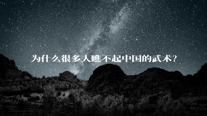 为什么很多人瞧不起中国的武术？