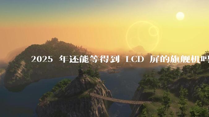2025 年还能等得到 LCD 屏的旗舰机吗？