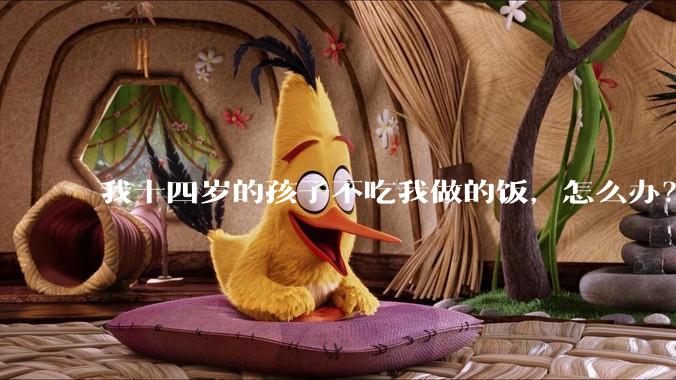 我十四岁的孩子不吃我做的饭，怎么办？