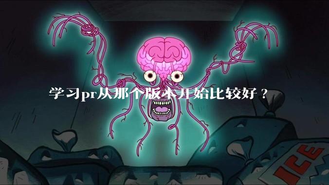 学习pr从那个版本开始比较好?