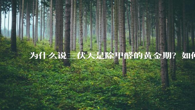 为什么说三伏天是除甲醛的黄金期？如何才能快速散味住新房？