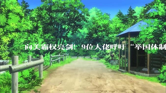 向美霸权亮剑！9位大佬呼吁“举国体制”，中国芯的终局战打响了_阿斯麦_美国科技_企业