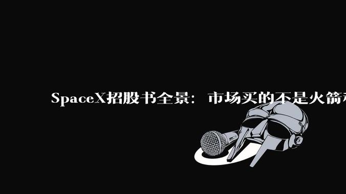 SpaceX招股书全景：市场买的不是火箭和AI，是马斯克本人_盘卫星_业务_公司