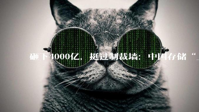 砸下4000亿，挺过制裁墙：中国存储“上桌”！_长江_产能_全球