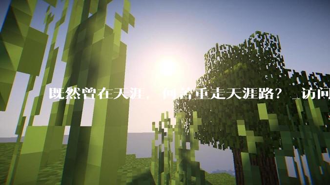既然曾在天涯，何苦重走天涯路？_访问_互联网_网络
