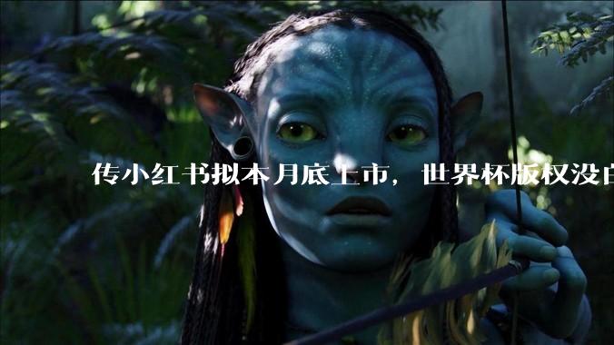 传小红书拟本月底上市，世界杯版权没白买！_直播_香港_赛事