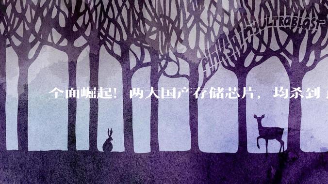 全面崛起！两大国产存储芯片，均杀到了全球第4名！_比特_因为_差距