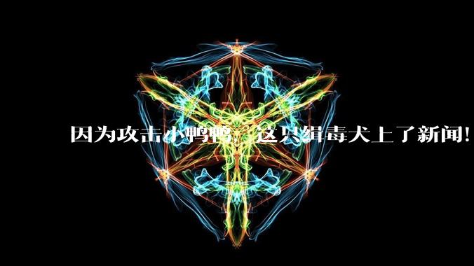 因为攻击小鸭鸭，这只缉毒犬上了新闻！_狗狗_高院_com