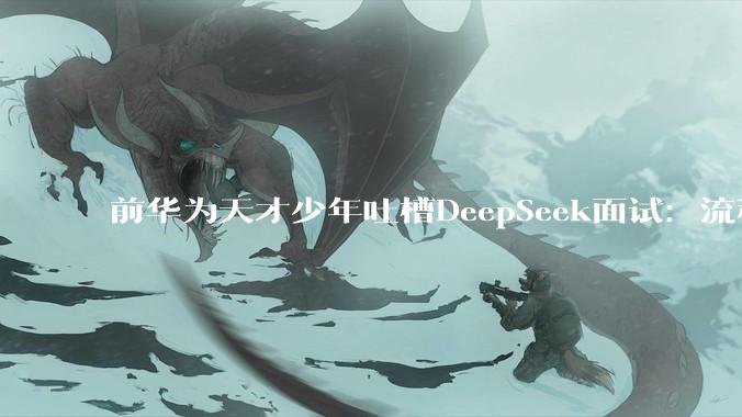 前华为天才少年吐槽DeepSeek面试：流程拖沓 被面试官指控抄袭_李博杰_岗位_代码