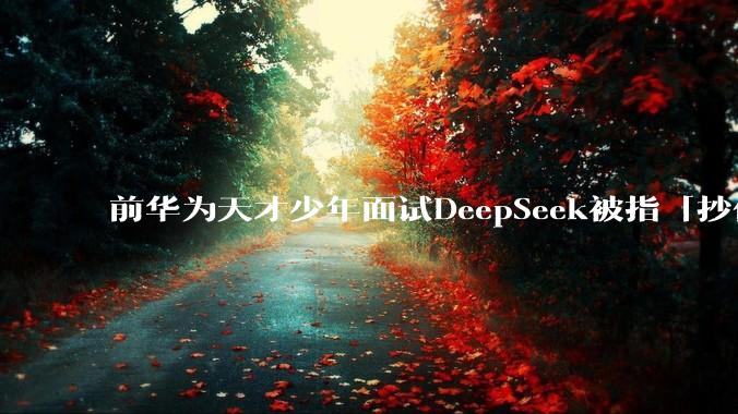 前华为天才少年面试DeepSeek被指「抄代码」当场暴走，这波操作太迷了_李博杰_公司_时候