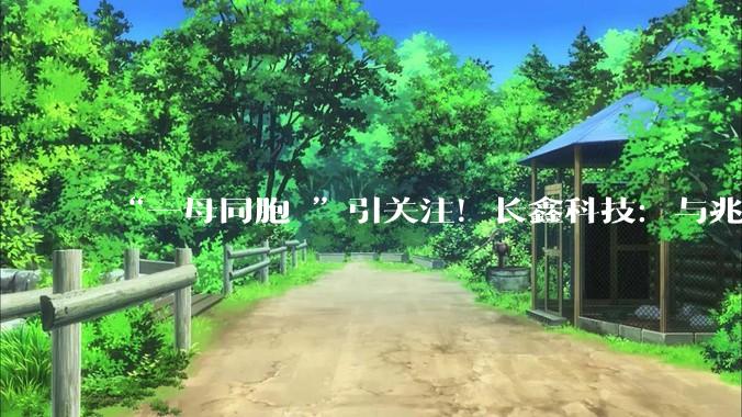 “一母同胞 ”引关注！长鑫科技：与兆易创新不存在利益输送_朱一明_公司_主营业务