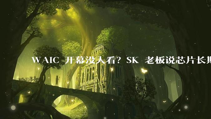 WAIC 开幕没人看？SK 老板说芯片长期涨，恐慌时别忘看产业面_资金_机构_陈果