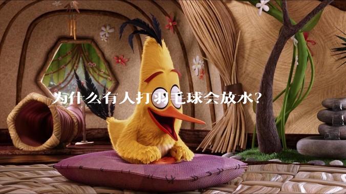 为什么有人打羽毛球会放水？