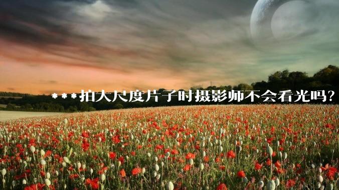 ***拍大尺度片子时摄影师不会看光吗？