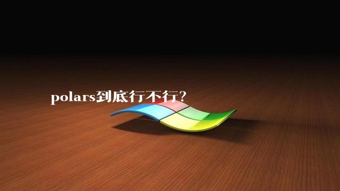 polars到底行不行？