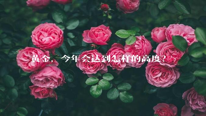 黄金，今年会达到怎样的高度？
