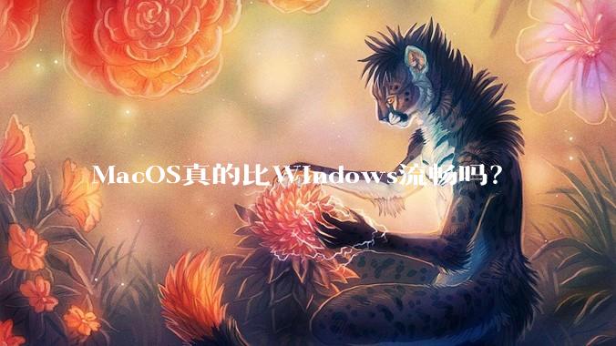 MacOS真的比Windows流畅吗？