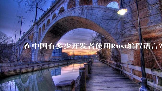 在中国有多少开发者使用Rust编程语言？