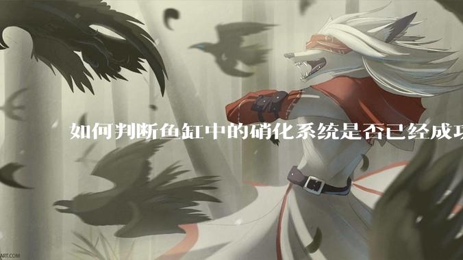 如何判断鱼缸中的硝化系统是否已经成功建立？