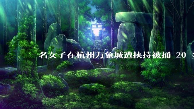 一名女子在杭州万象城遭挟持被捅 20 多刀，隆胸***体救了一命，这反映出哪些公安系统的问题？