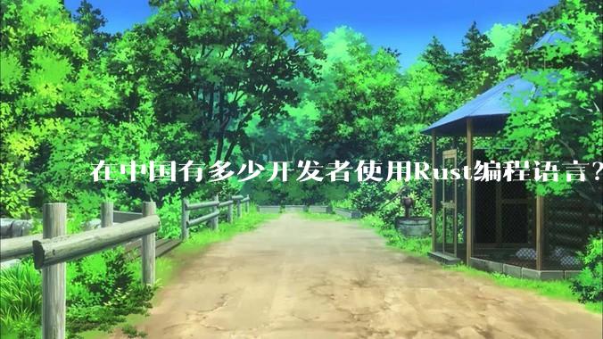 在中国有多少开发者使用Rust编程语言？