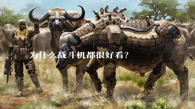 为什么战斗机都很好看？