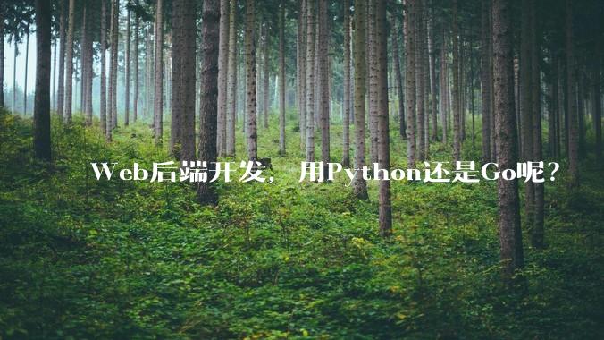 Web后端开发，用Python还是Go呢？