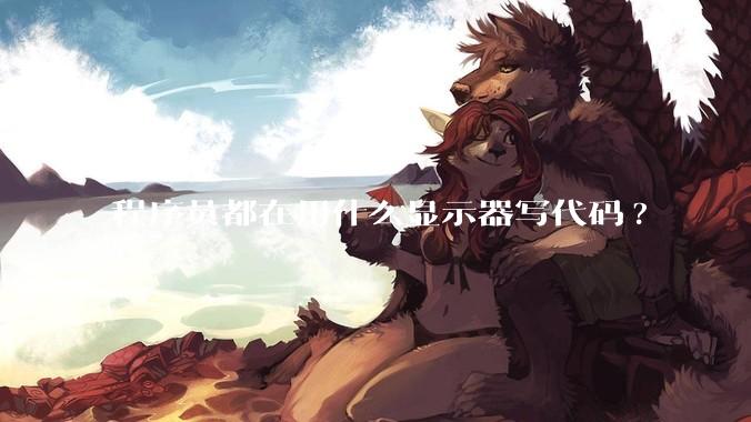 程序员都在用什么显示器写代码?