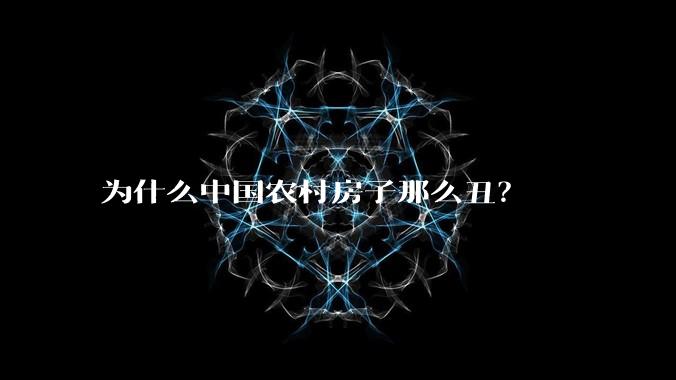 为什么中国农村房子那么丑？