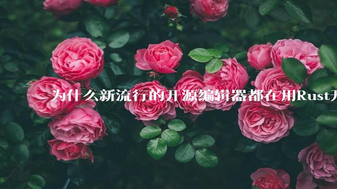 为什么新流行的开源编辑器都在用Rust开发？