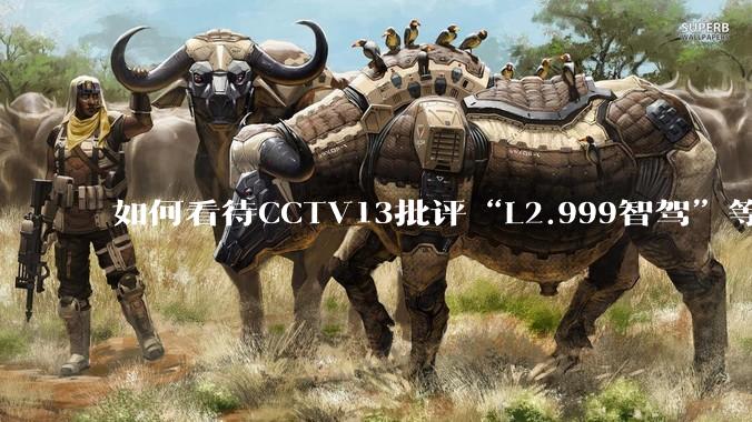 如何看待CCTV13批评“L2.999智驾”等误导性宣传，若导致事故车企可能需要担责？