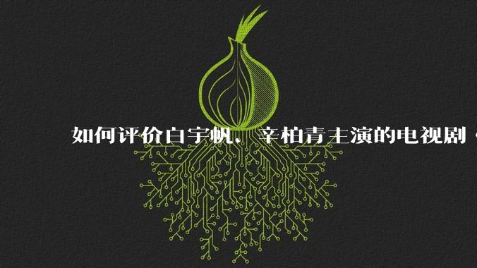 如何评价白宇帆、辛柏青主演的电视剧《护宝寻踪》？