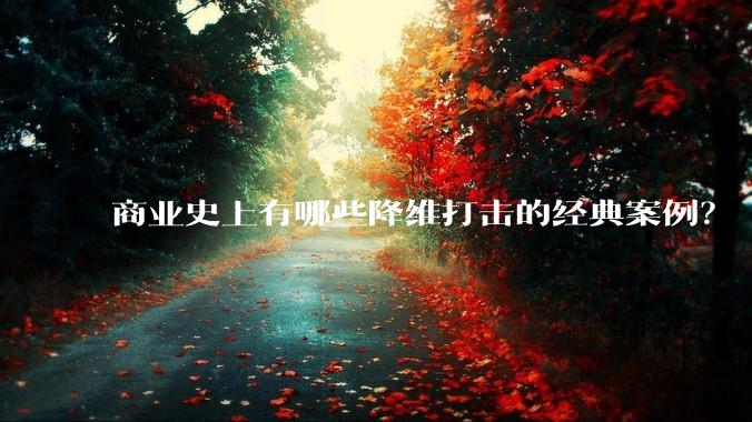 商业史上有哪些降维打击的经典案例？
