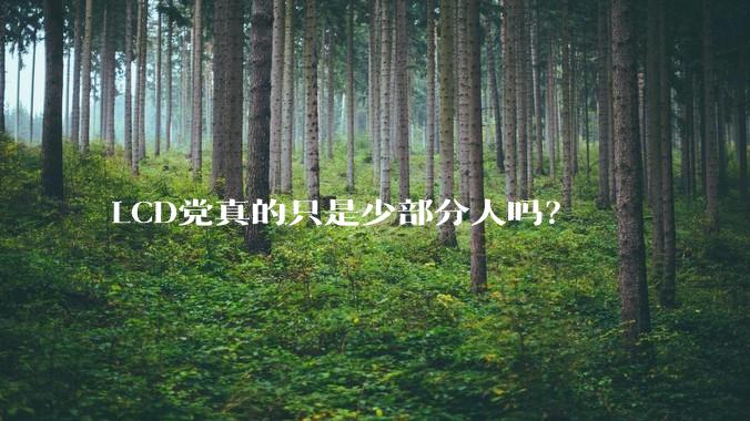 LCD党真的只是少部分人吗？