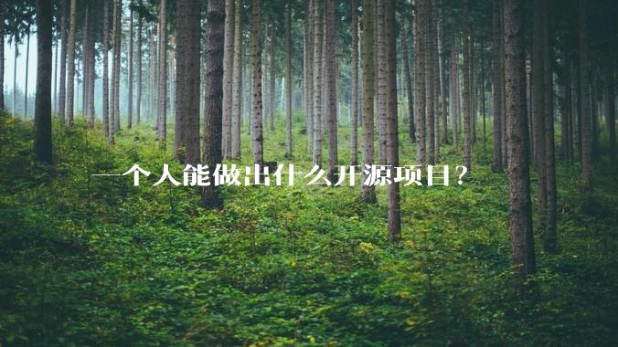 一个人能做出什么开源项目？