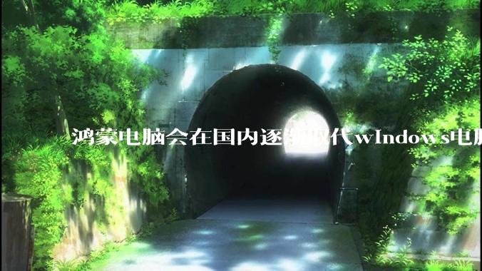 鸿蒙电脑会在国内逐渐取代windows电脑吗？